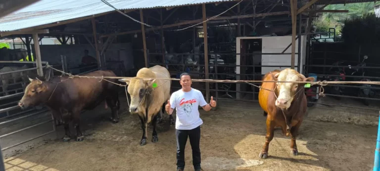 SAPI-439355049
