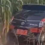 mobil-pelat-merah-yang-menabrak-satu-keluarga-di-simalungun-3-tewas-foto-istimewa-1749140420678_169