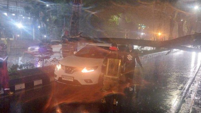 POHON-TUMBANG-Angin-kencang-dan-hujan-yang-cukup-deras