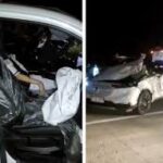 images - 2026-03-24T011202.115